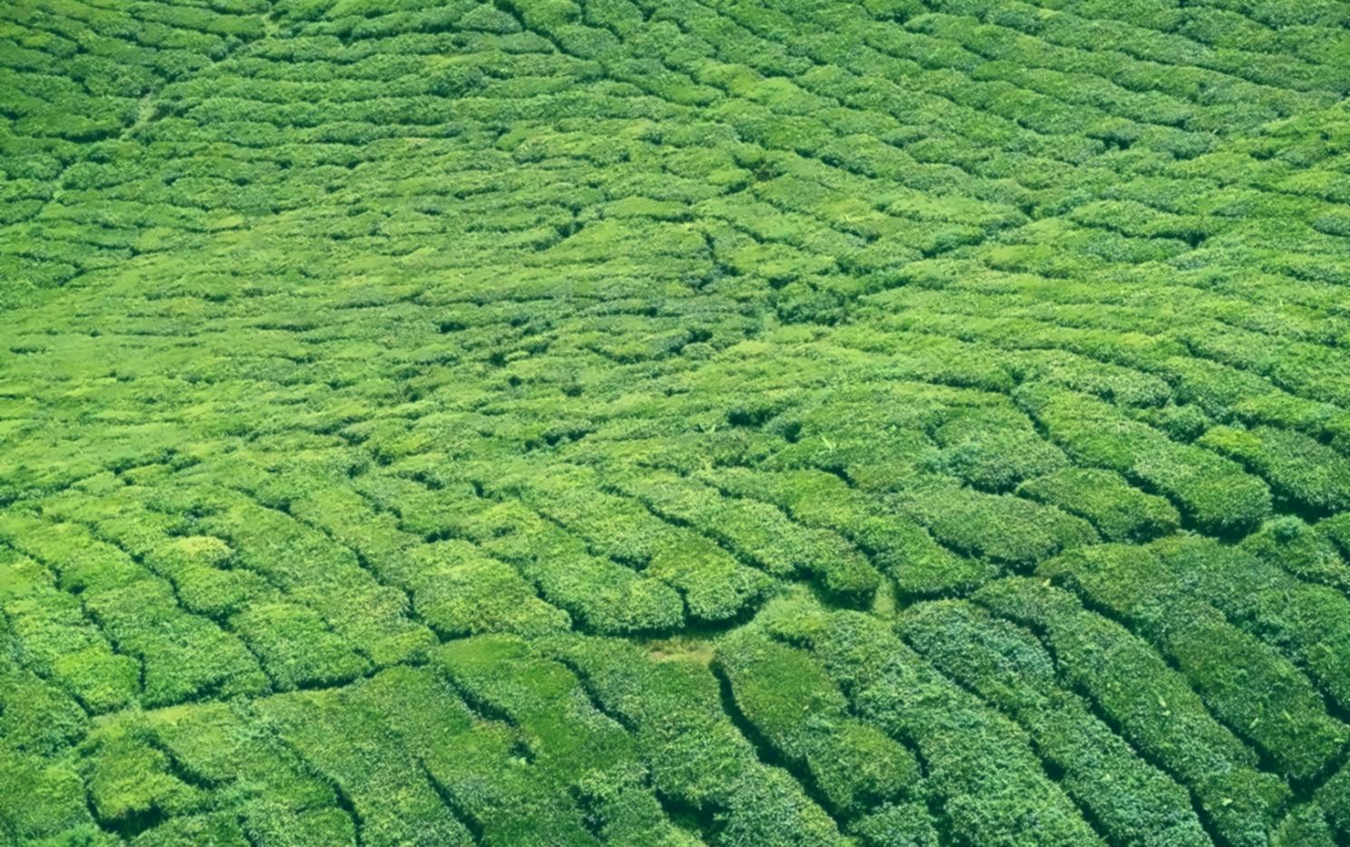 Interactive learning environment with modern technology