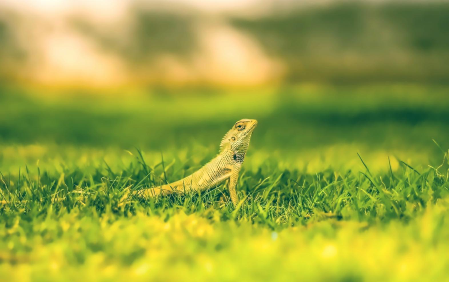 Modern sustainable energy infrastructure showcasing renewable technology